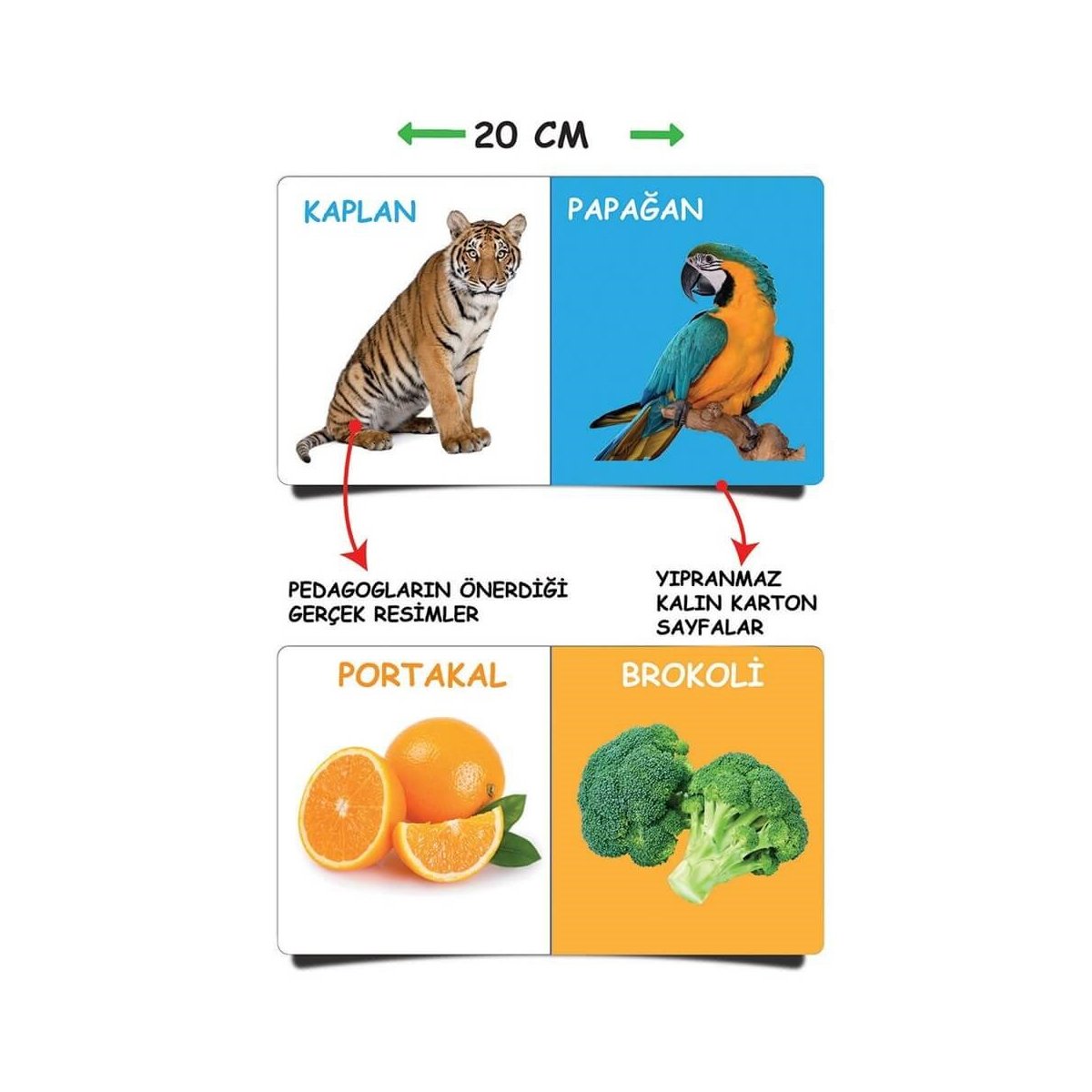 İlk Kütüphanem-İlk Sözcükler 8'Li Mini Kitap Seti