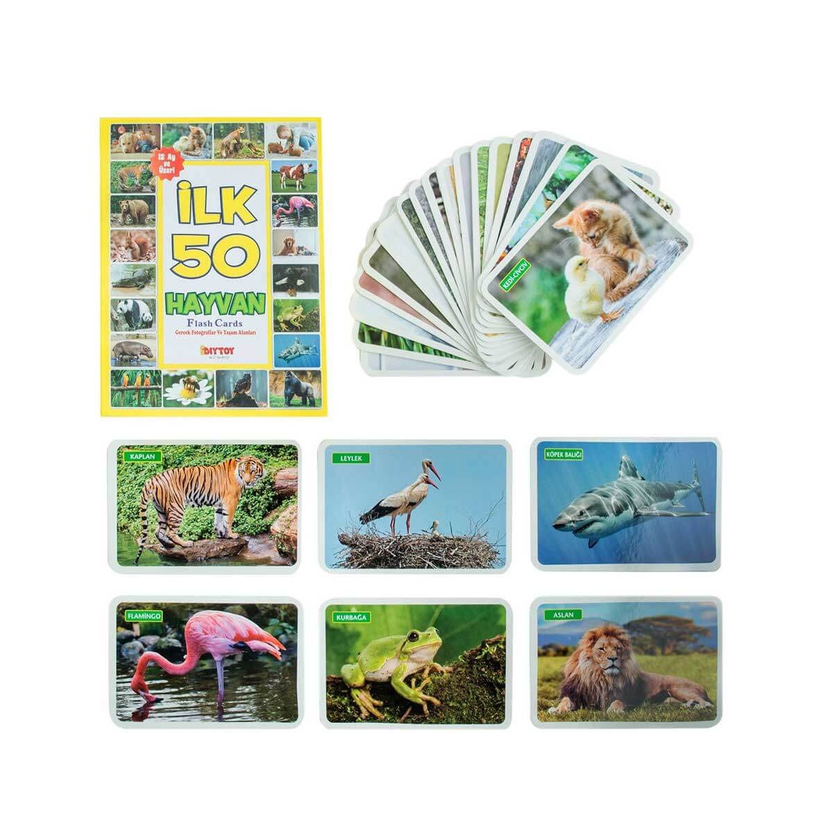 Flash Cards İlk 50 Hayvan