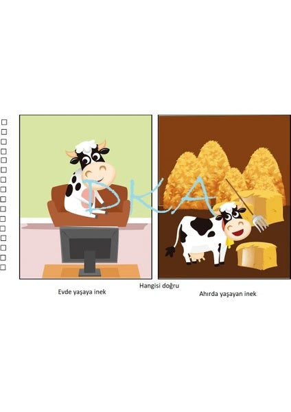 Doğru Yanlış Seti