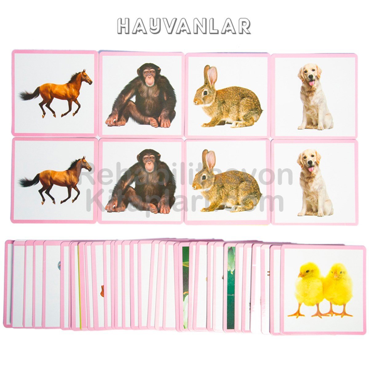 Eşleme ve Kavrama Kartları Büyük