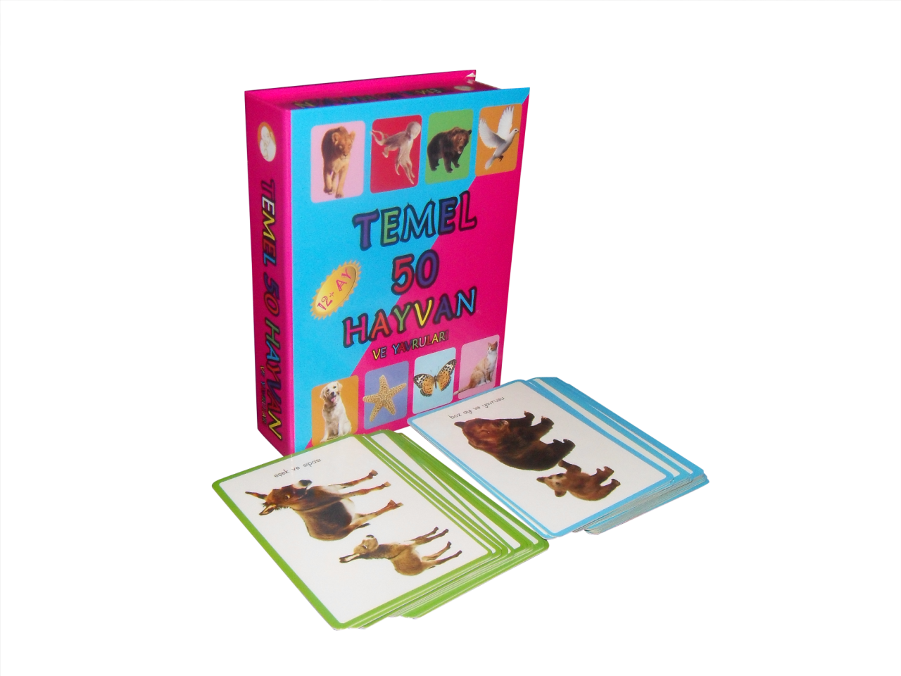 Temel 50 Hayvan ve Yavruları