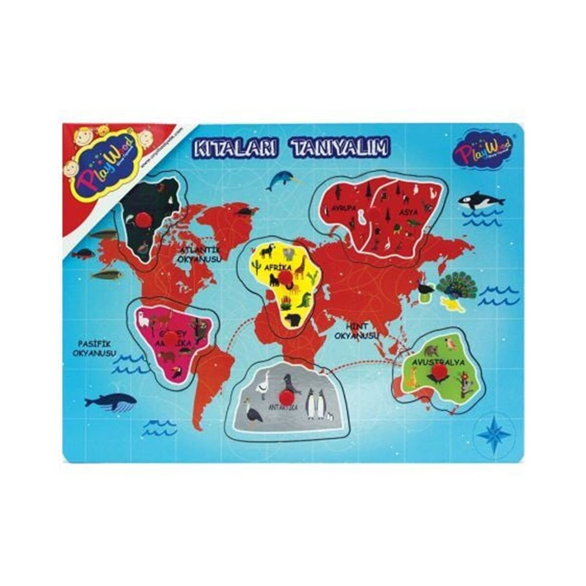 AHŞAP TUTMALI KIKTALARI VE BÖLGELERİ