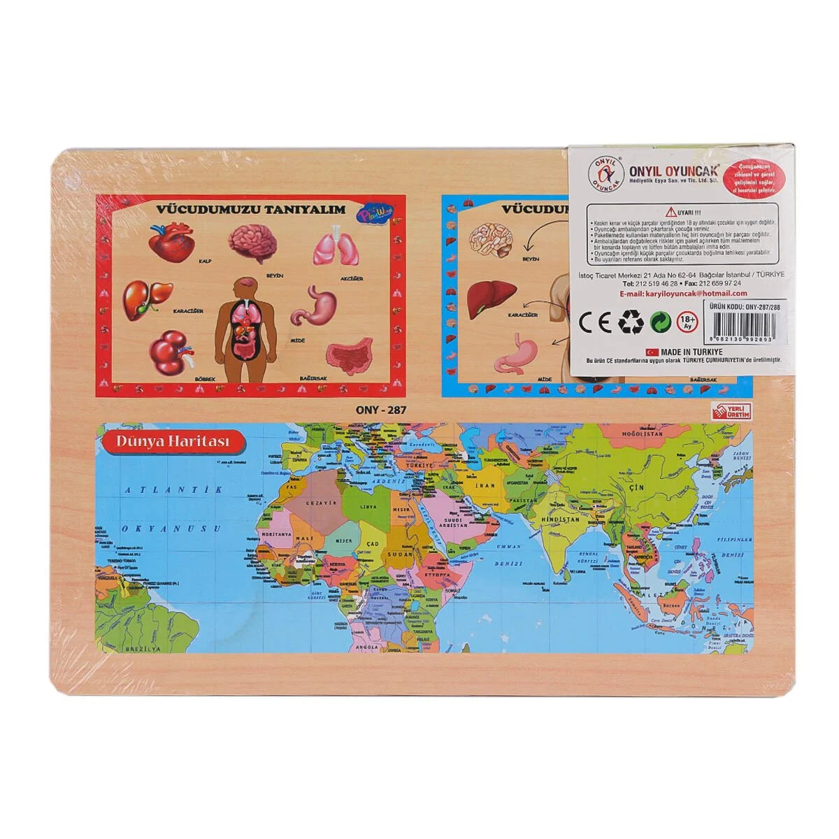 Ahşap Tutmalı Vücumuzu Tanıyalım