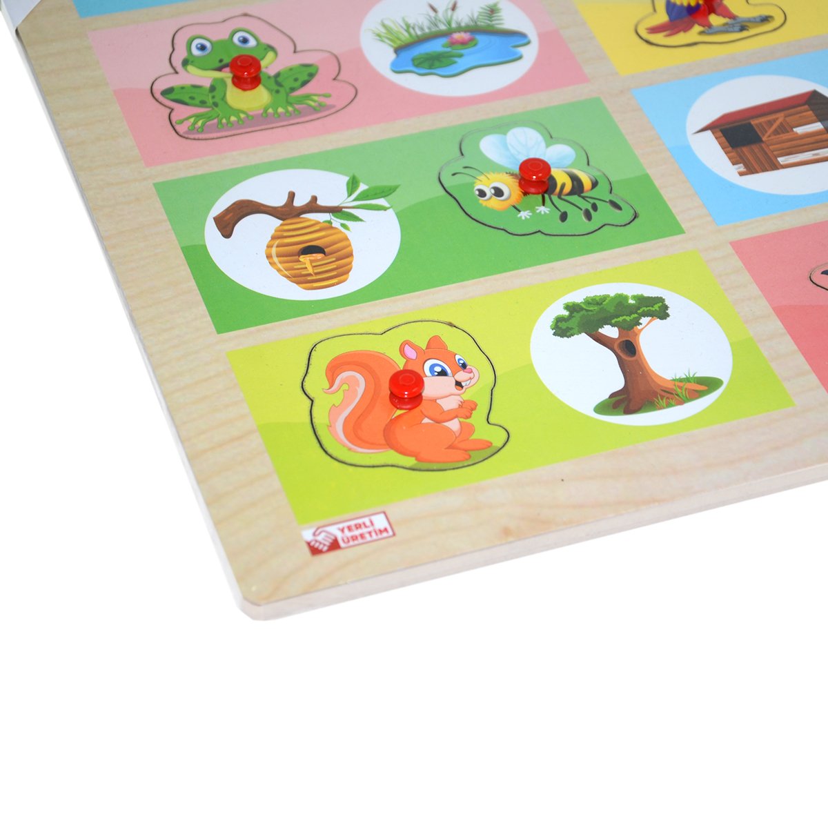 Ahşap Tutmalı Eşleştirme Hangi Hayvan Nerede Yaşar