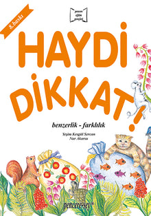 haydi dikkat