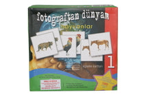 Fotoğraftan Dünyam Hayvanlar