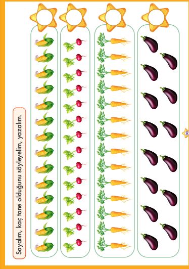 Sayı Tanıma Eksik Sayı Tamamlama 2 Matematik Evreni Serisi