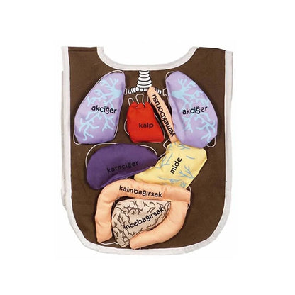 Organ Önlüğü – Vücudumuzu Tanıtan İnteraktif Anatomi Yeleği