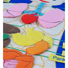 Cırtlı Vücudumuz Panosu – İnteraktif Anatomi ve Dikkat Gelişim Materyali