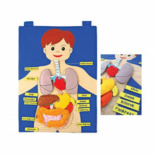 Cırtlı Vücudumuz Panosu – İnteraktif Anatomi ve Dikkat Gelişim Materyali