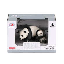 Panda Ailesi