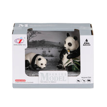 Panda Ailesi