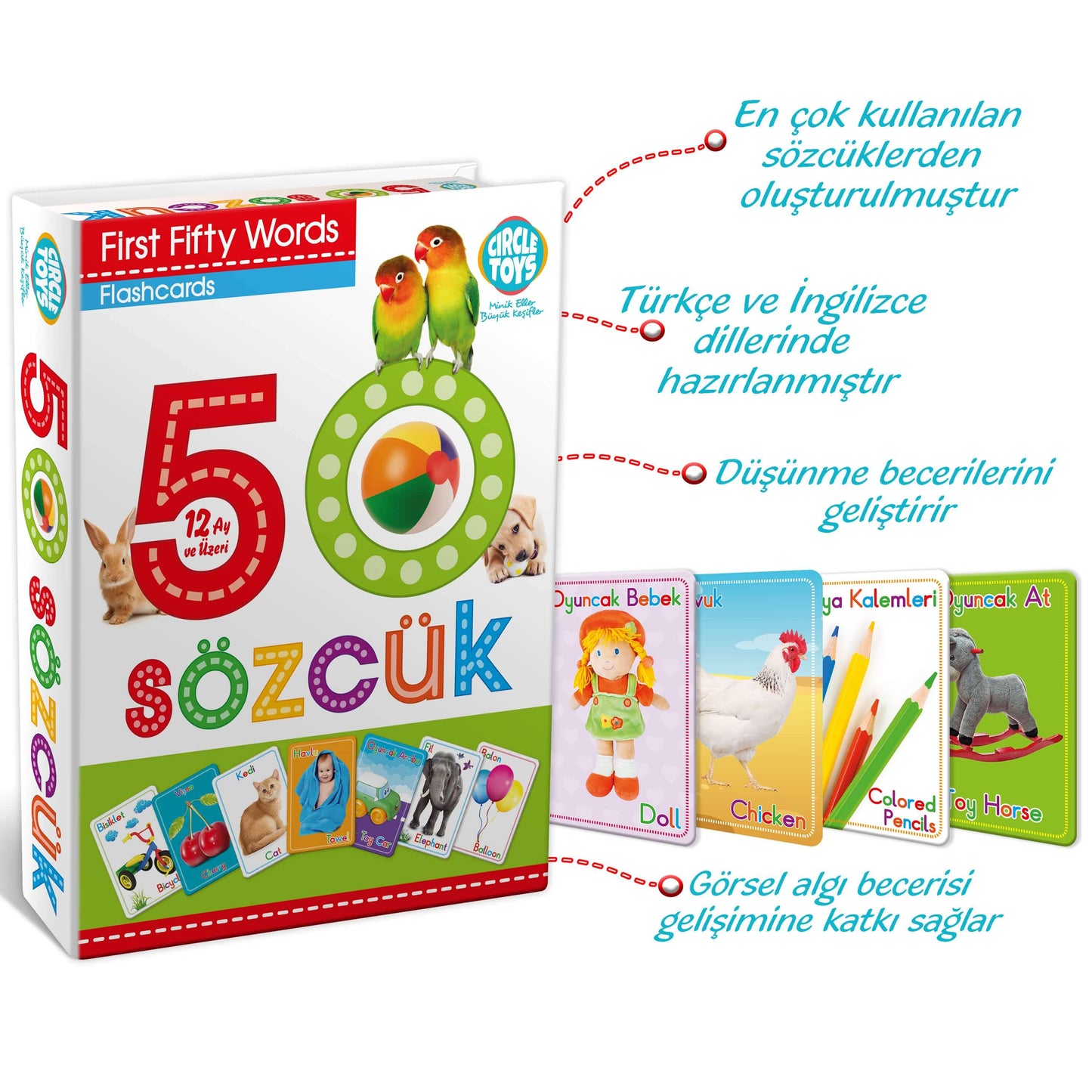 Circle Toys 50 Sözcük