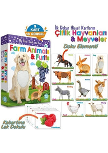 Dokun Hisset Çiftlik Hayvanları ve Meyveler