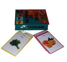 Temel 50 Meyve-Sebze