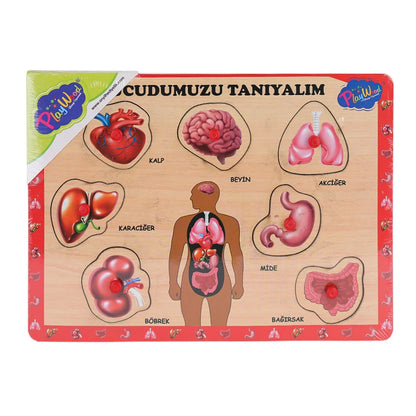 Ahşap Tutmalı Vücumuzu Tanıyalım